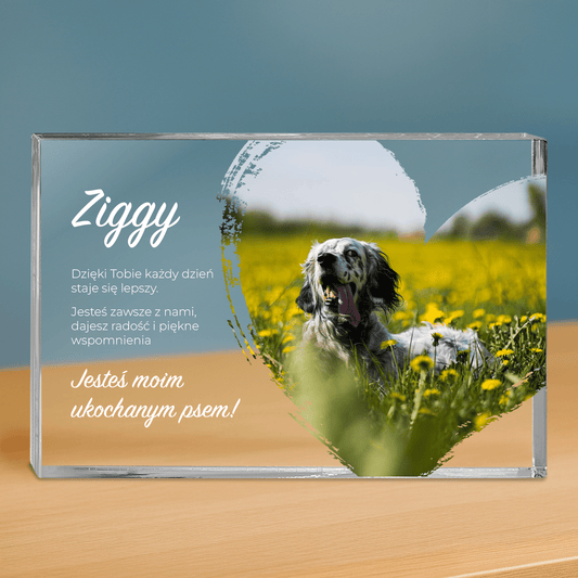 Zdjęcie psa + tekst - personalizowany druk na grubym szkle dla miłośnika psów - Emmygift.pl
