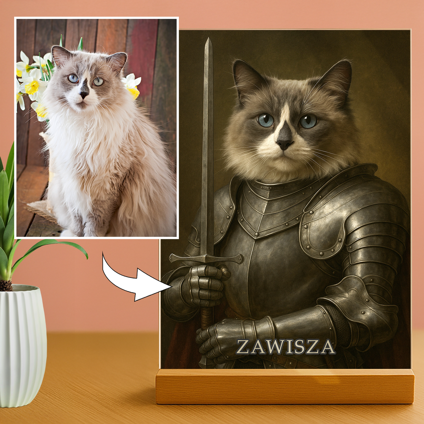 Kot jako dzielny rycerz - portret na szkle akrylowym dla miłośnika kotów