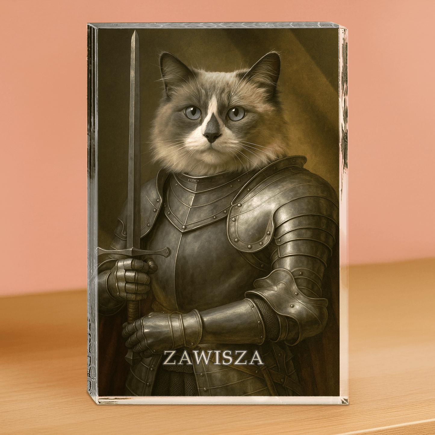 Portret kota rycerza - blok akrylowy - prostokąt dla miłośnika kotów - Emmygift.pl