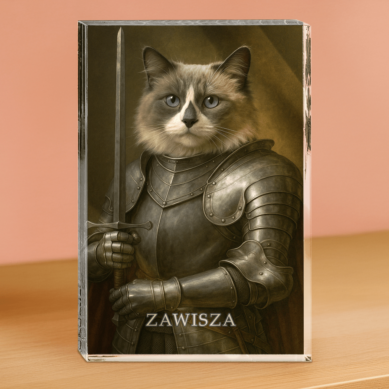 Portret kota rycerza - blok akrylowy - prostokąt dla miłośnika kotów - Emmygift.pl
