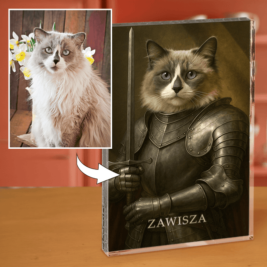 Portret kota rycerza - blok akrylowy - prostokąt dla miłośnika kotów - Emmygift.pl